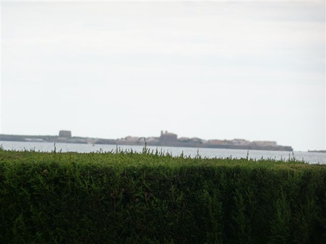 post-306-0-26009900-1353685408.jpg
