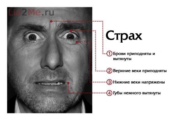 post-134-13252882105833.jpeg