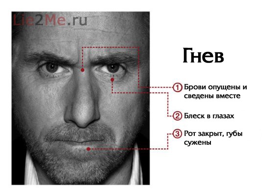 post-134-13252882105542.jpeg