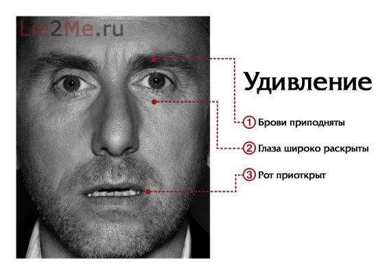 post-134-13252882105979.jpeg