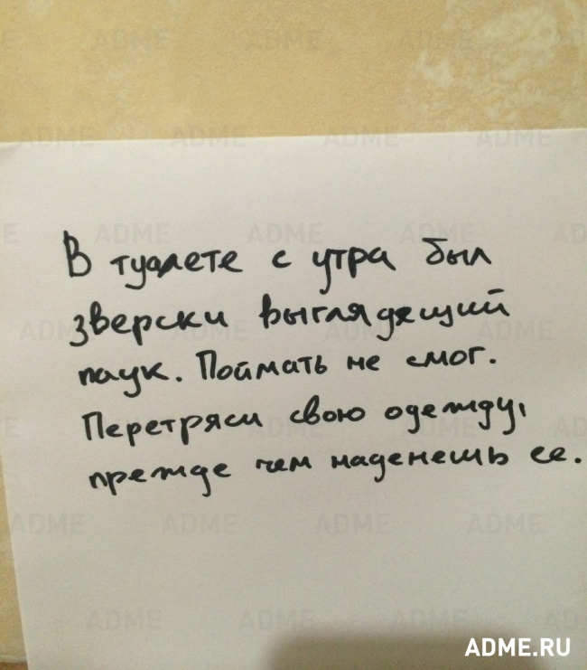 10468210-R3L8T8D-650-12-01.jpg.902dcd6972e8a9249a990e394ab459a5.jpg
