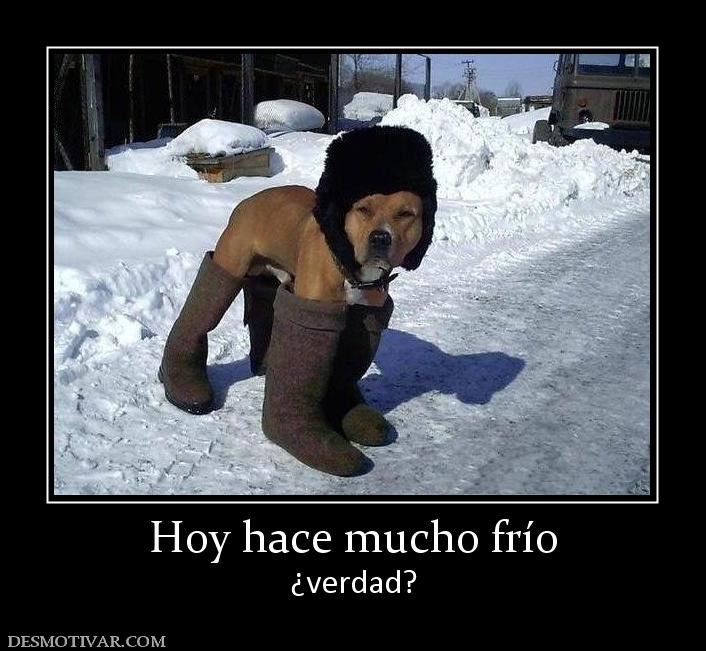 22024_hoy_hace_mucho_frio.jpg.bfaa90efb9f41015206b6d2611c8ef06.jpg