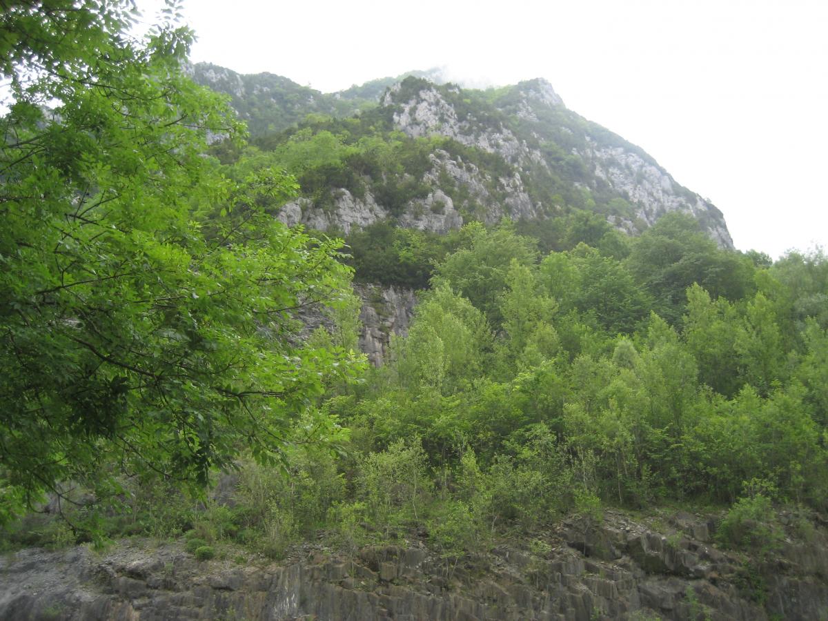 post-1939-0-89784800-1403173708.jpg