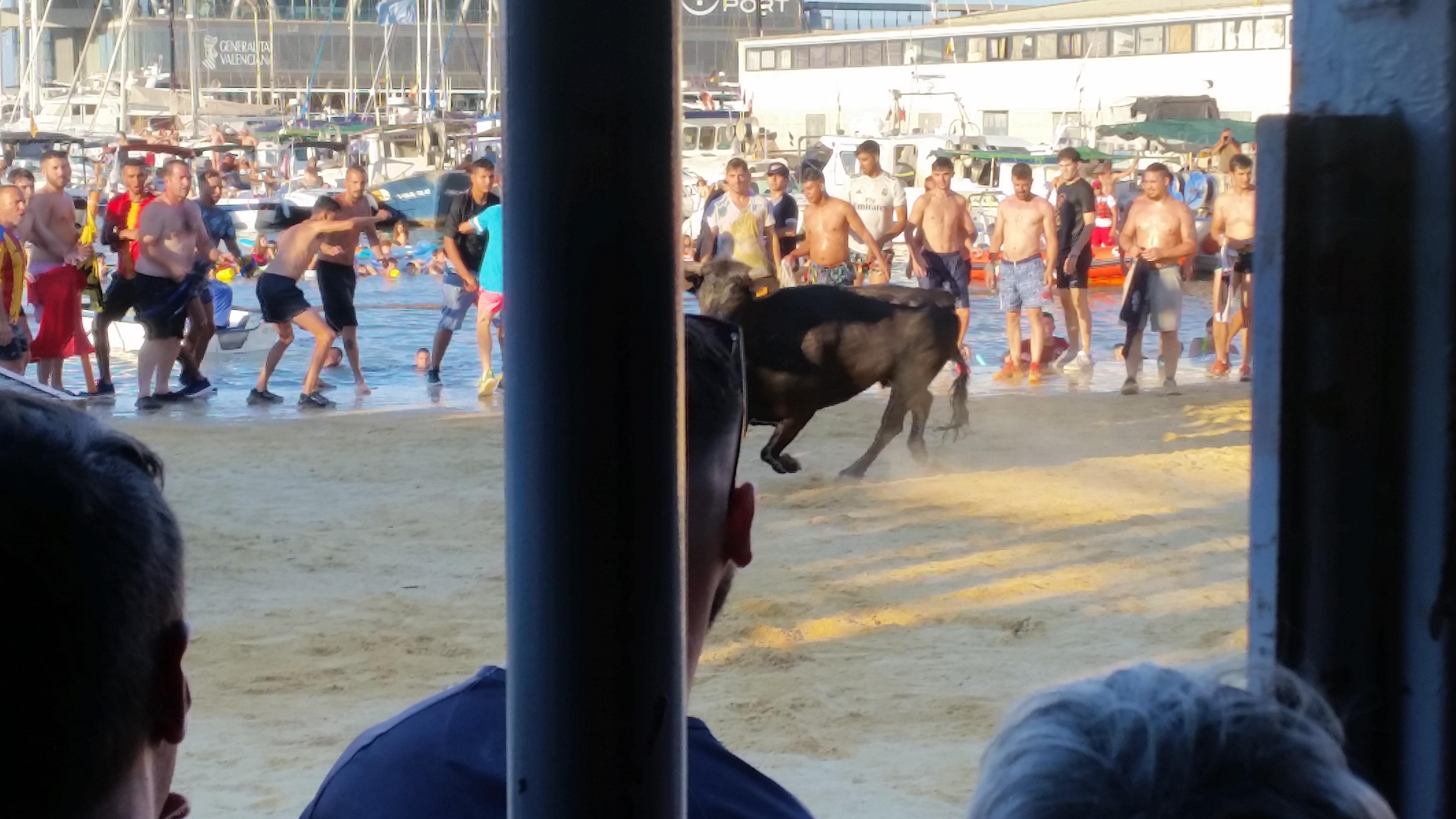 20220709_201000.jpg.8ff73444cc48a2f3f84c111dea216360.jpg