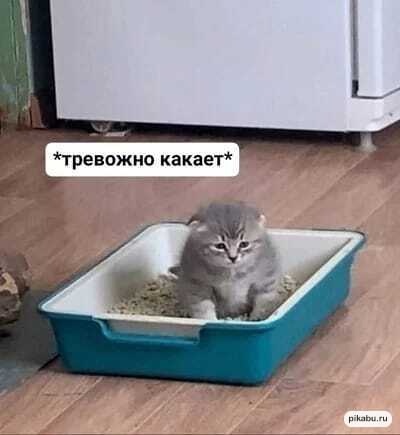 759503967_(3).jpeg.e3422d09773a2a9d4be8cad5f0f9648f.jpeg