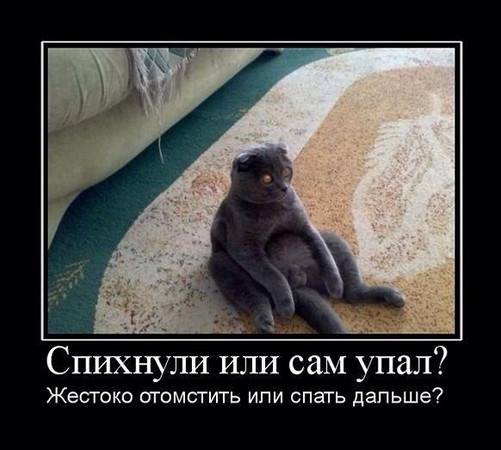 post-129-0-60240600-1389549234.jpg