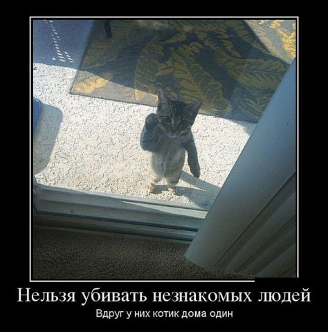 post-839-0-50467800-1393273466.jpg