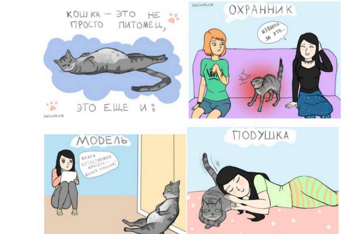 post-129-0-14442800-1392971264.jpg
