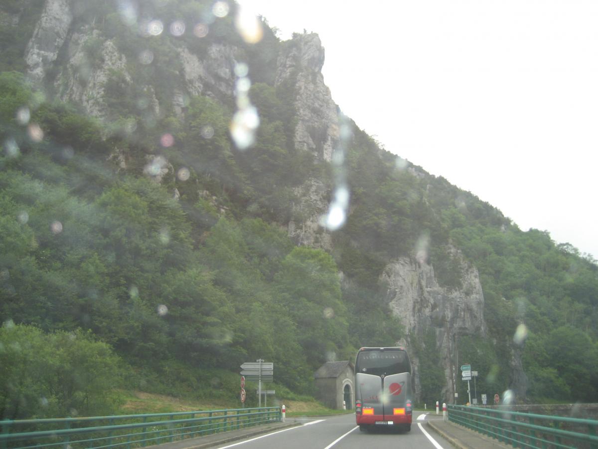 post-1939-0-43999700-1403173613.jpg