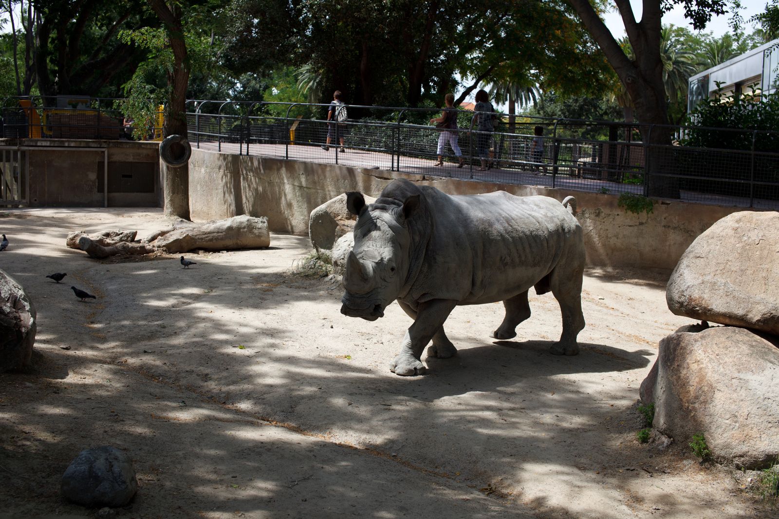 Зоопарк Барселона