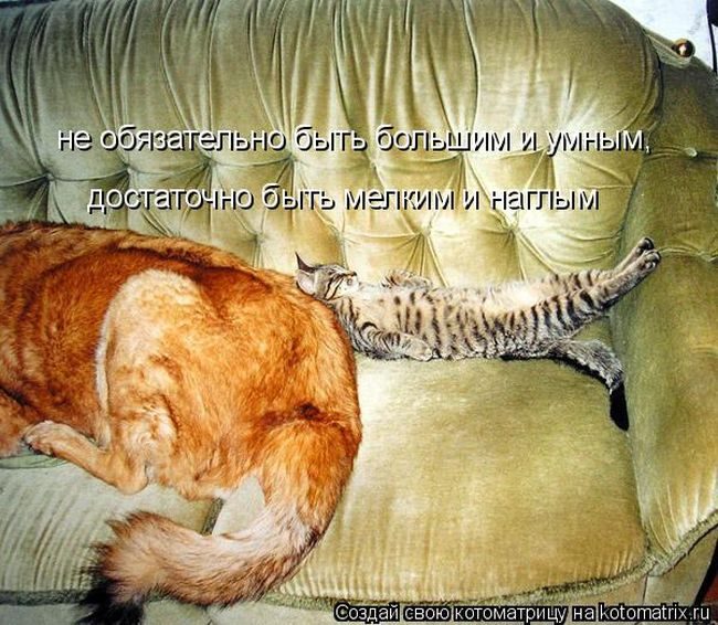 original.jpg#20049793891