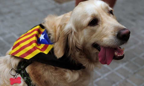 72092ee0-4f4e-4a01-a2f1-a7f9daf76db0-460