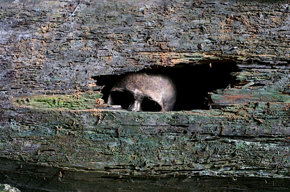 9727610-R3L8T8D-950-49b5039c03a33bf37731