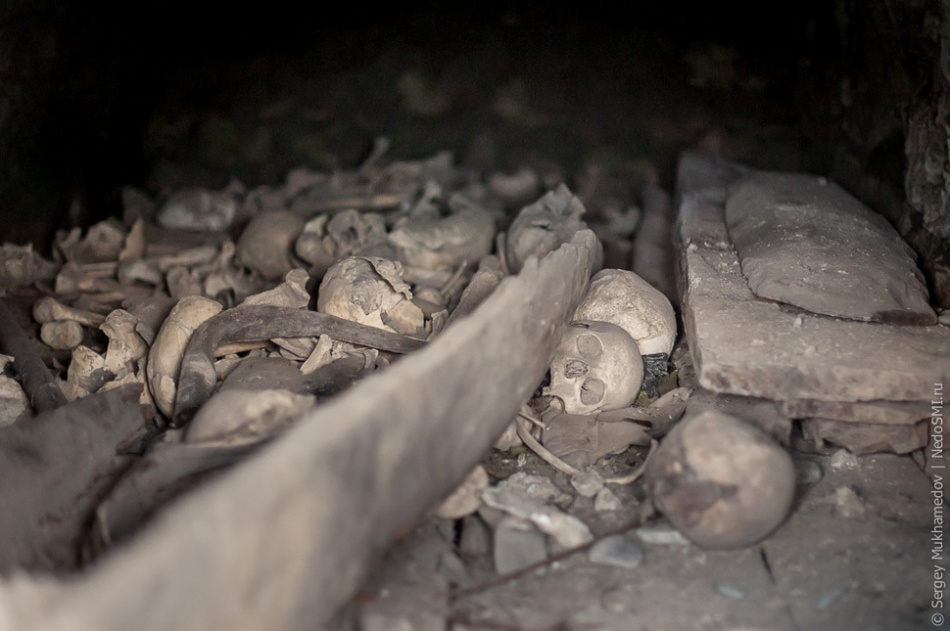 9784210-R3L8T8D-950-2a53e3d6431e30117ad2