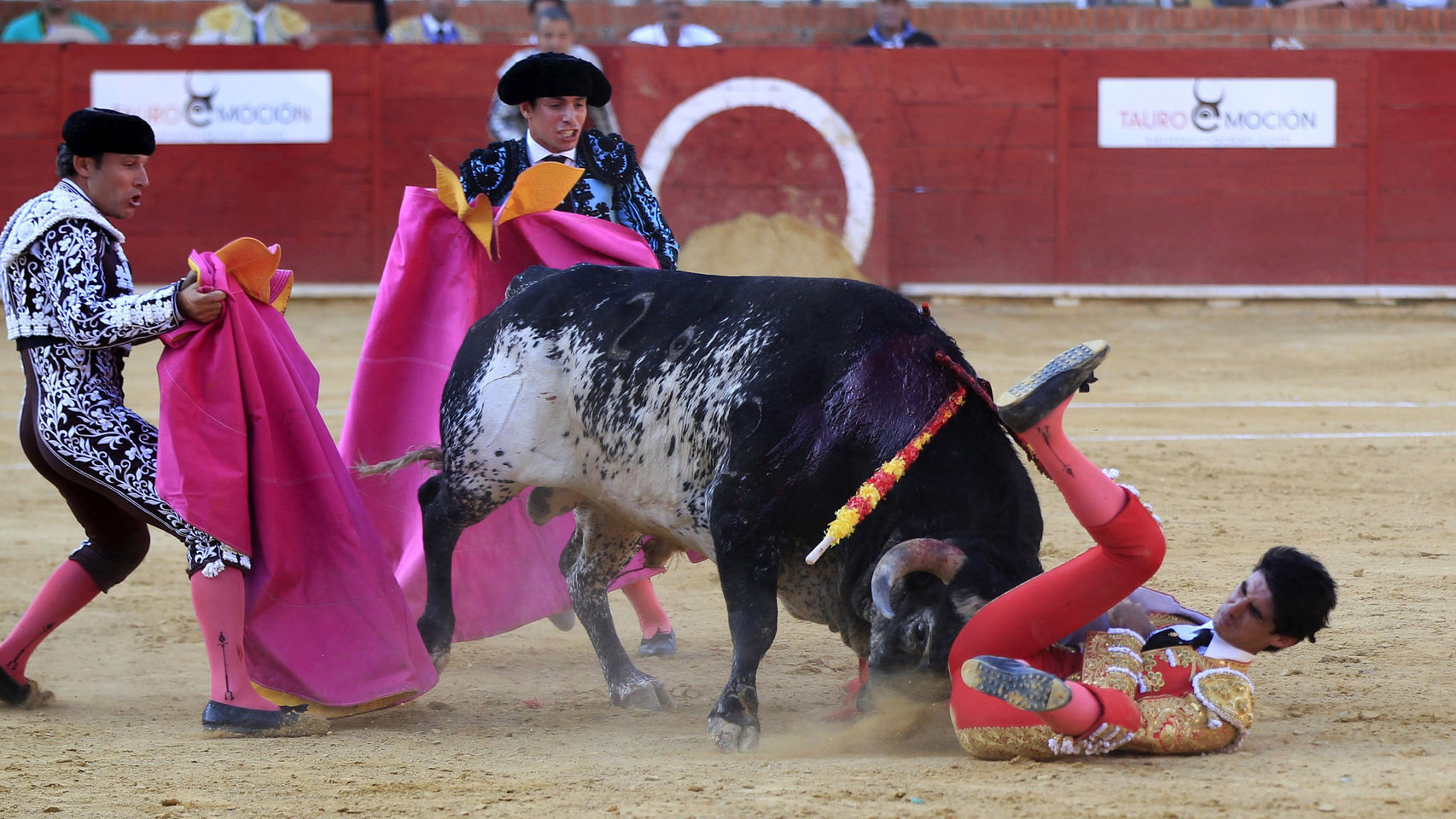 Toros-Teruel-Toros_138996200_9434524_170