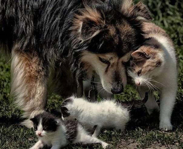 a1100b1f134bb2c2d4c12e9d6ef4ec16_zps88c0