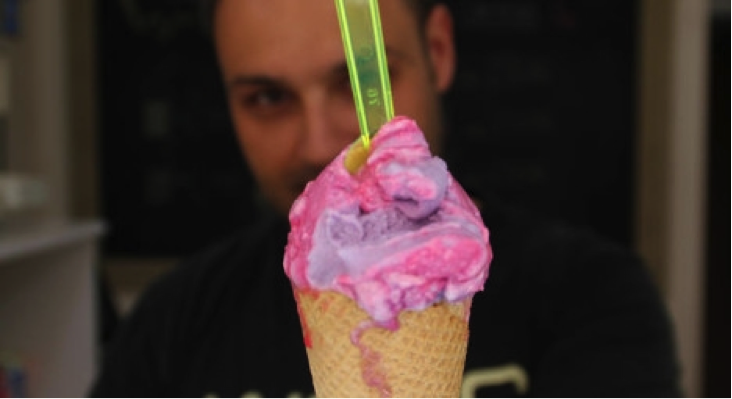 ice-cream-chameleon.png