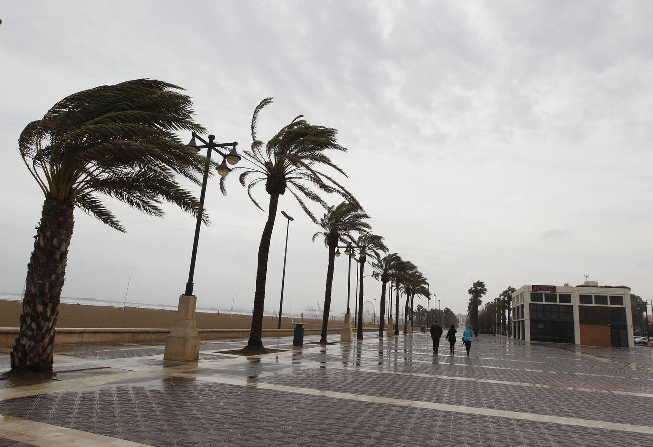 tempora-viento-lluvia-valencia.jpg