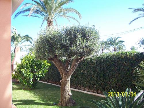 post-1205-0-36682100-1357681990_thumb.jp