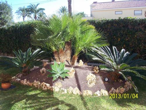 post-1205-0-49950200-1357681920_thumb.jp