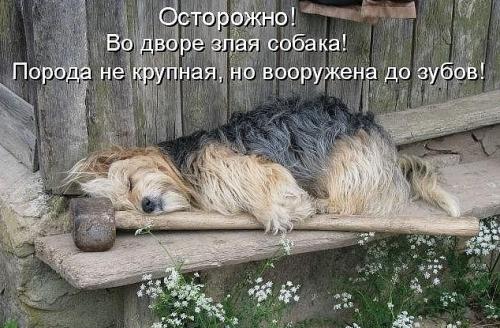 post-1217-0-64846400-1357344861_thumb.jp