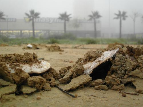 post-1220-0-13500400-1358846922_thumb.jp