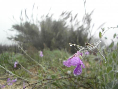 post-1220-0-22421100-1358847229_thumb.jp