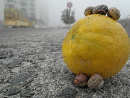 post-1220-0-30459400-1358847171_thumb.jp