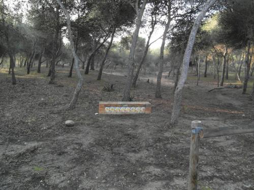 post-1220-0-39453600-1358933083_thumb.jp