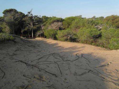 post-1220-0-43185700-1358933351_thumb.jp