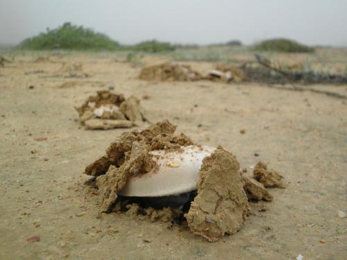 post-1220-0-44008900-1358846897_thumb.jp