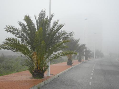 post-1220-0-52323200-1358847222_thumb.jp