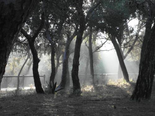 post-1220-0-54303900-1358932976_thumb.jp