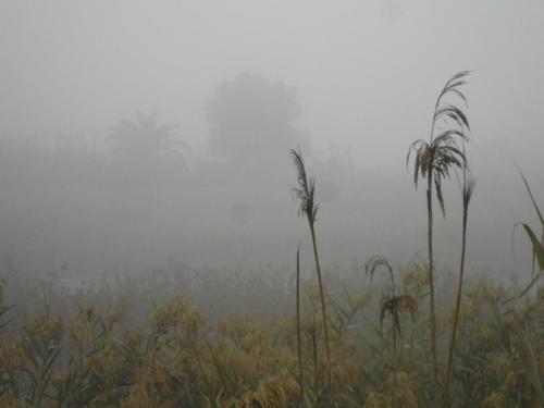 post-1220-0-61421600-1358846615_thumb.jp