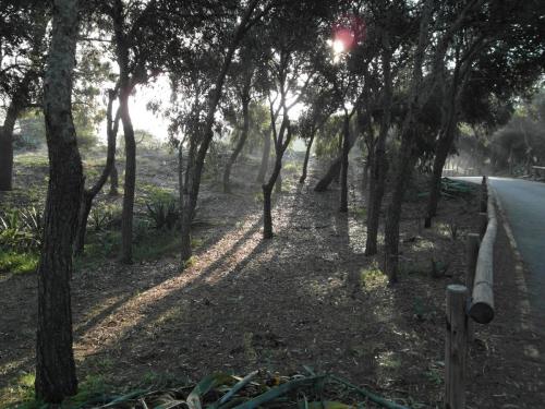 post-1220-0-63961600-1358933332_thumb.jp