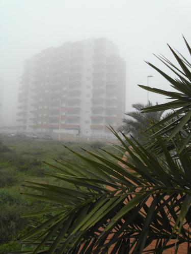 post-1220-0-65444900-1358846739_thumb.jp