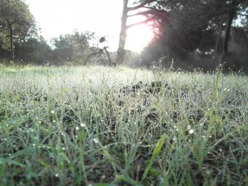 post-1220-0-81605400-1358932834_thumb.jp