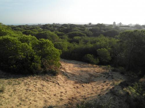 post-1220-0-92514000-1358933341_thumb.jp