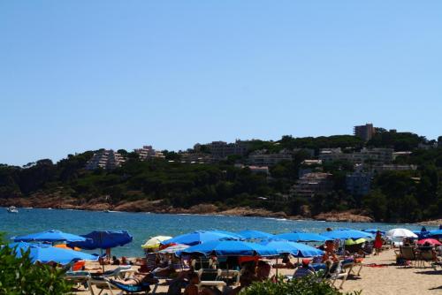 post-1221-0-09749500-1358127074_thumb.jp