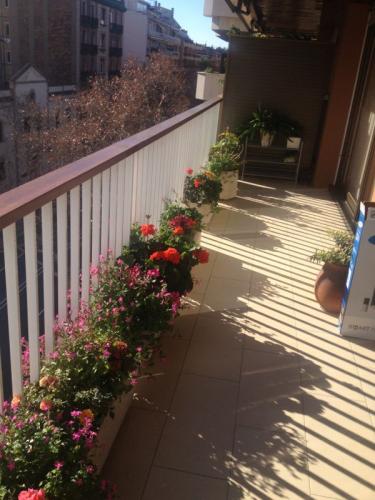 post-1221-0-17832900-1358954539_thumb.jp