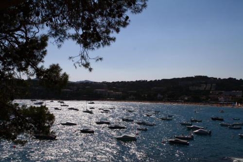 post-1221-0-20747800-1358127152_thumb.jp