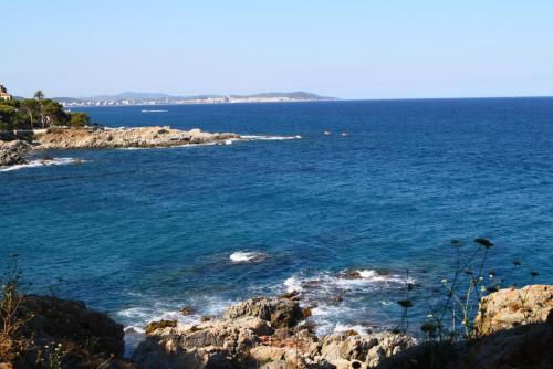 post-1221-0-37725400-1358127351_thumb.jp