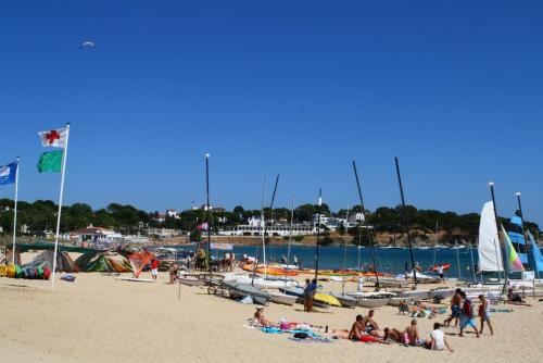 post-1221-0-84419900-1358127017_thumb.jp