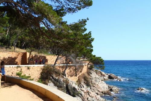 post-1221-0-90577400-1358127225_thumb.jp