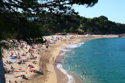 post-1221-0-93945400-1358127483_thumb.jp