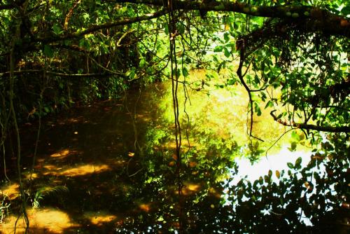 post-1221-0-99295400-1359589539_thumb.jp