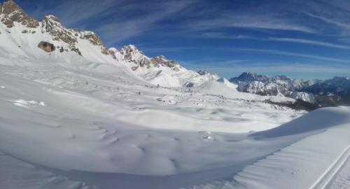 post-1217-0-14029800-1389029130_thumb.jp