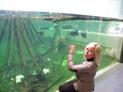 post-1255-0-11061100-1389362250_thumb.jp