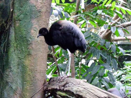 post-1255-0-40876600-1389362313_thumb.jp