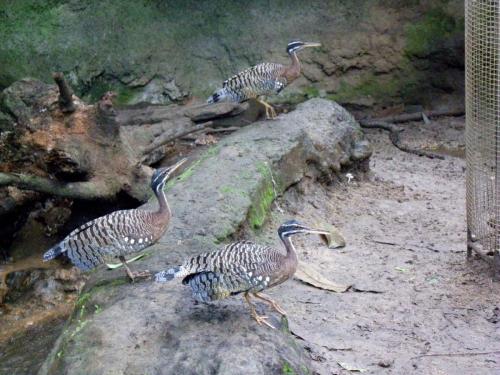 post-1255-0-79278700-1389362267_thumb.jp